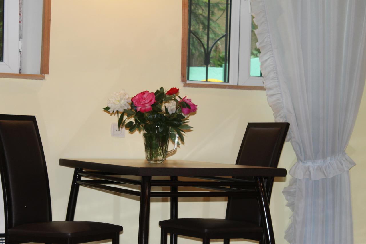 Salomes Apartment Tuti بورجومي المظهر الخارجي الصورة
